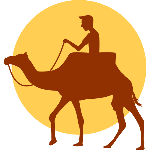 Camel Safari